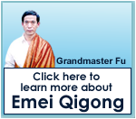 Grandmaster Fu Emei Qigong USA